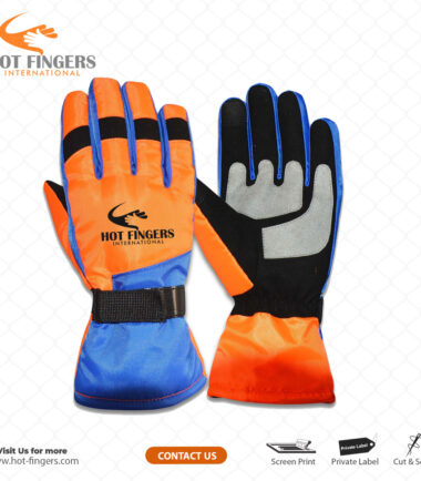 Ski Gloves