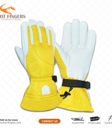 Ski Gloves