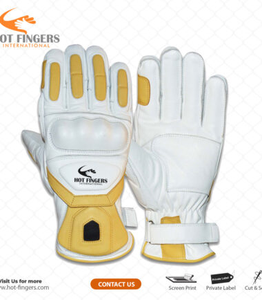 Ski Gloves